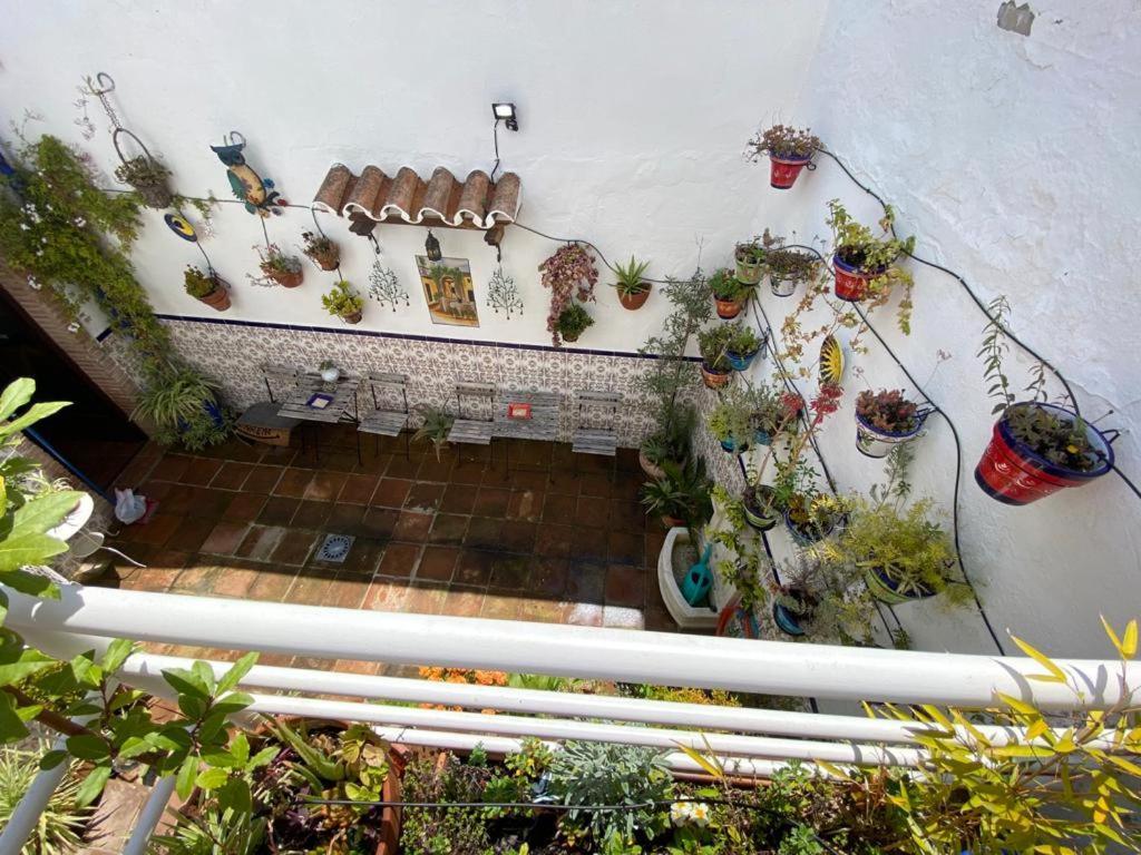 Appartement Buddhalounge *